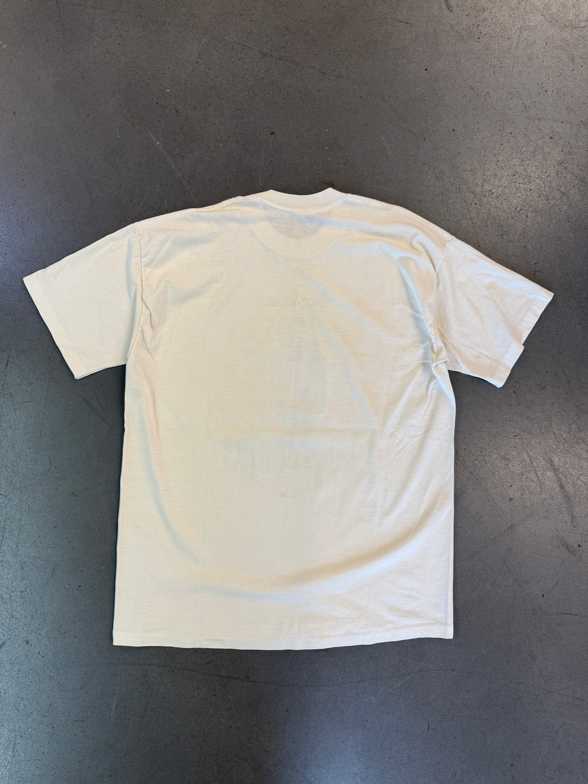 1990 MIAMI DOLPHINS DOLPHINATIC TEE (PULLED TAG)