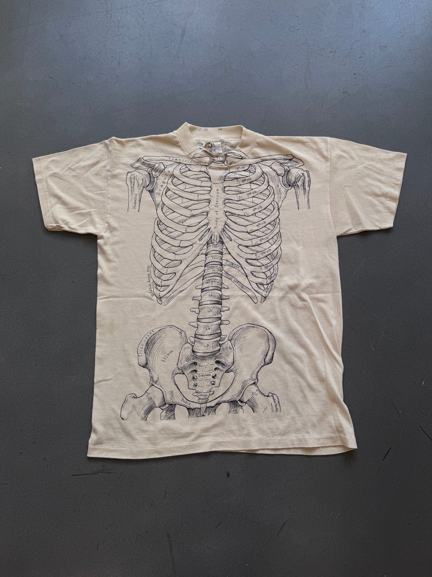 1978 HUMAN ANATOMY SKELETON LABELED TEE (WHITE TAG)