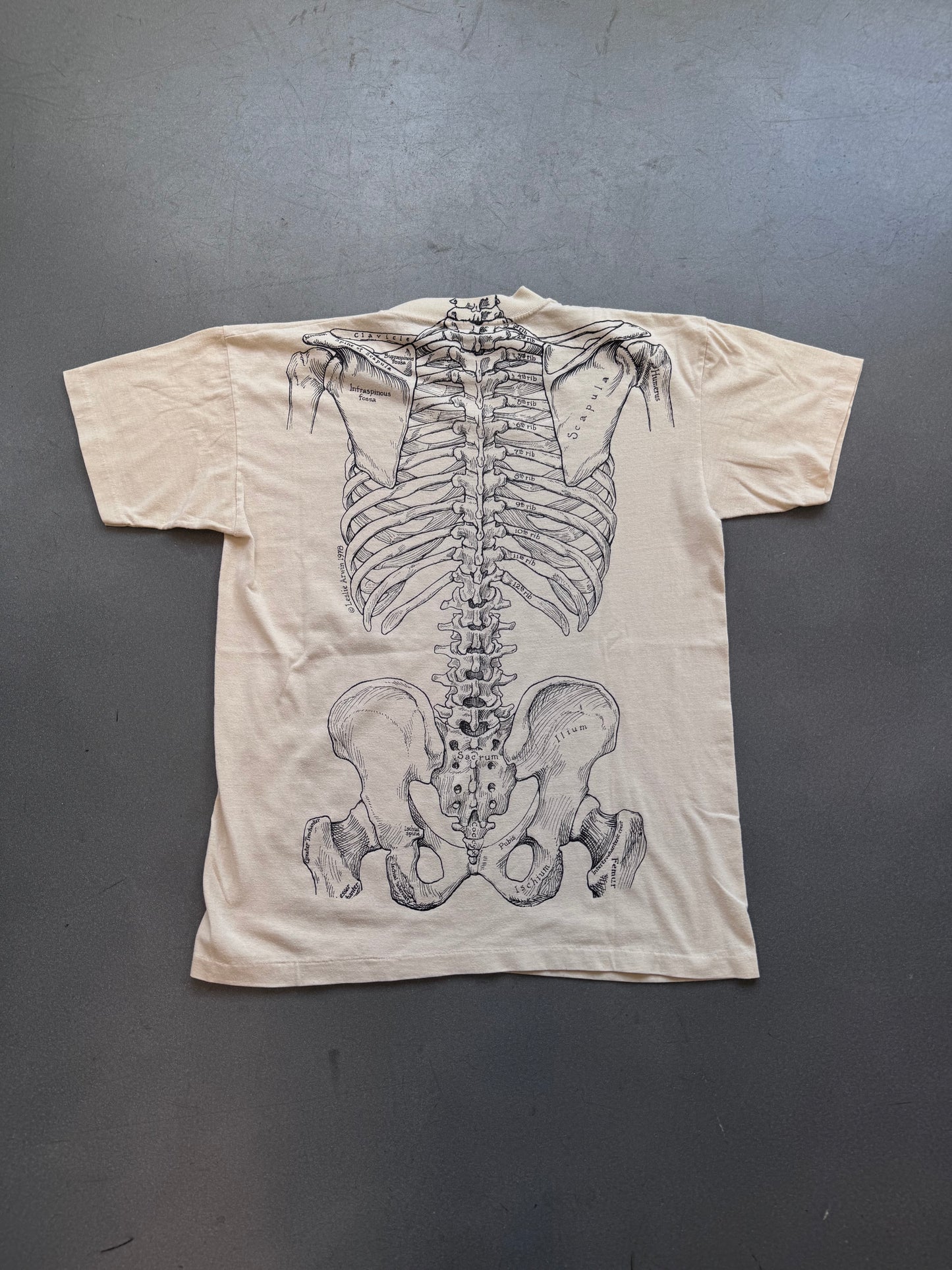 1978 HUMAN ANATOMY SKELETON LABELED TEE (WHITE TAG)