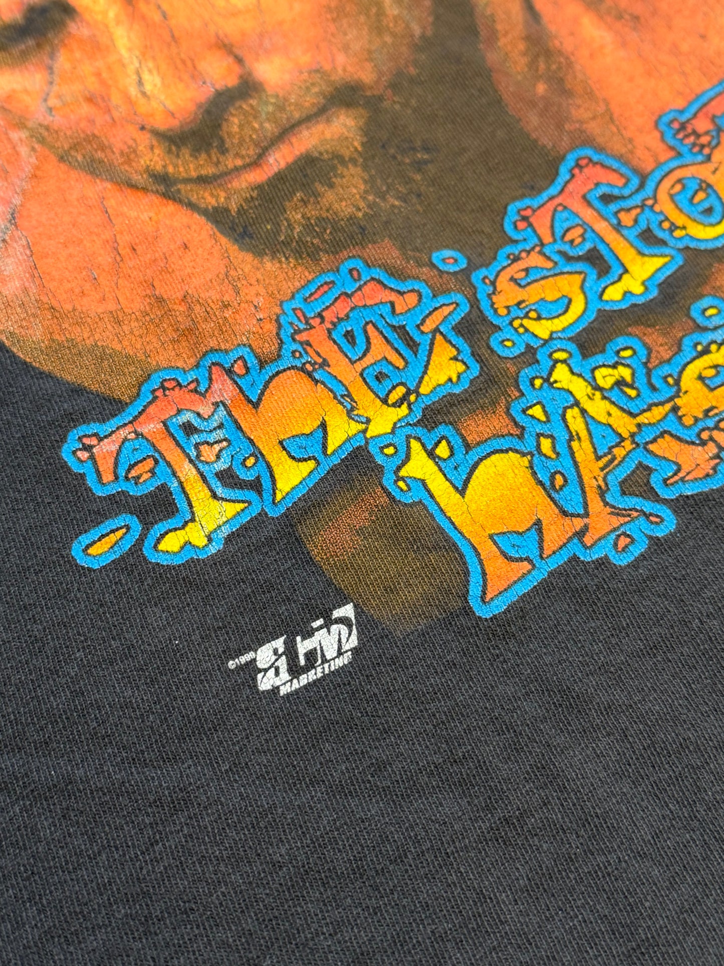 1999 WCW GOLDBERG THE STORM HAS ARRIVED TEE (DELTA TAG)