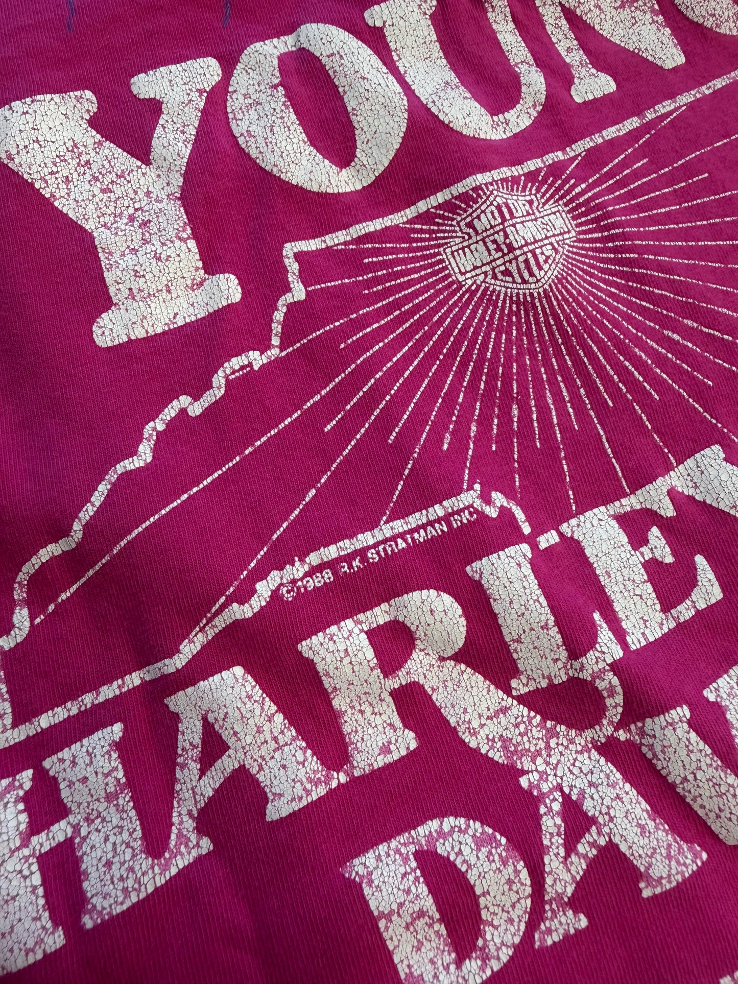 1988 HARLEY DAVIDSON GREENSBORO, N.C. LIGHTNING TEE (HANES BEEFY HARLEY TAG)