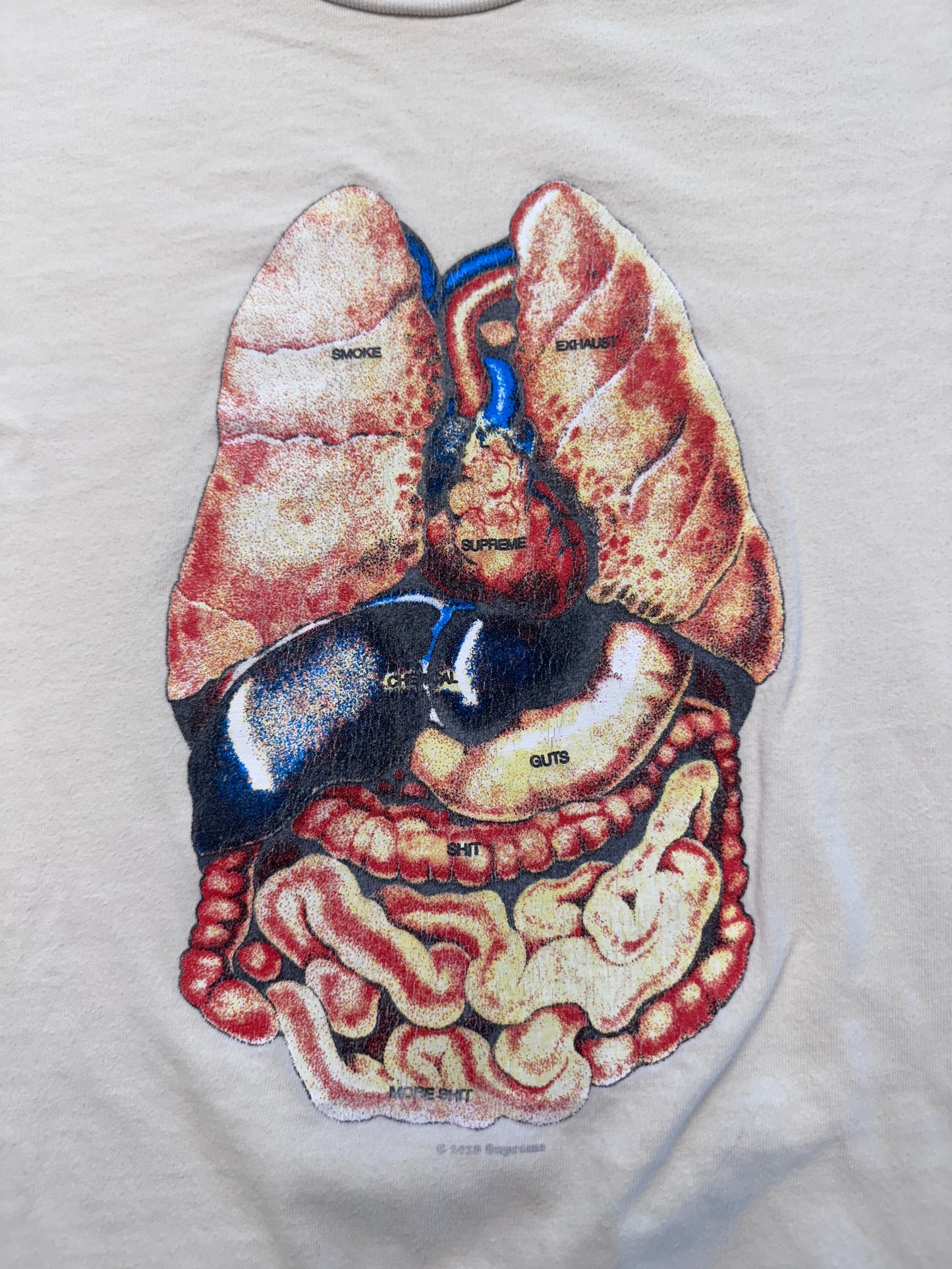 FW18 SUPREME GUTS TEE