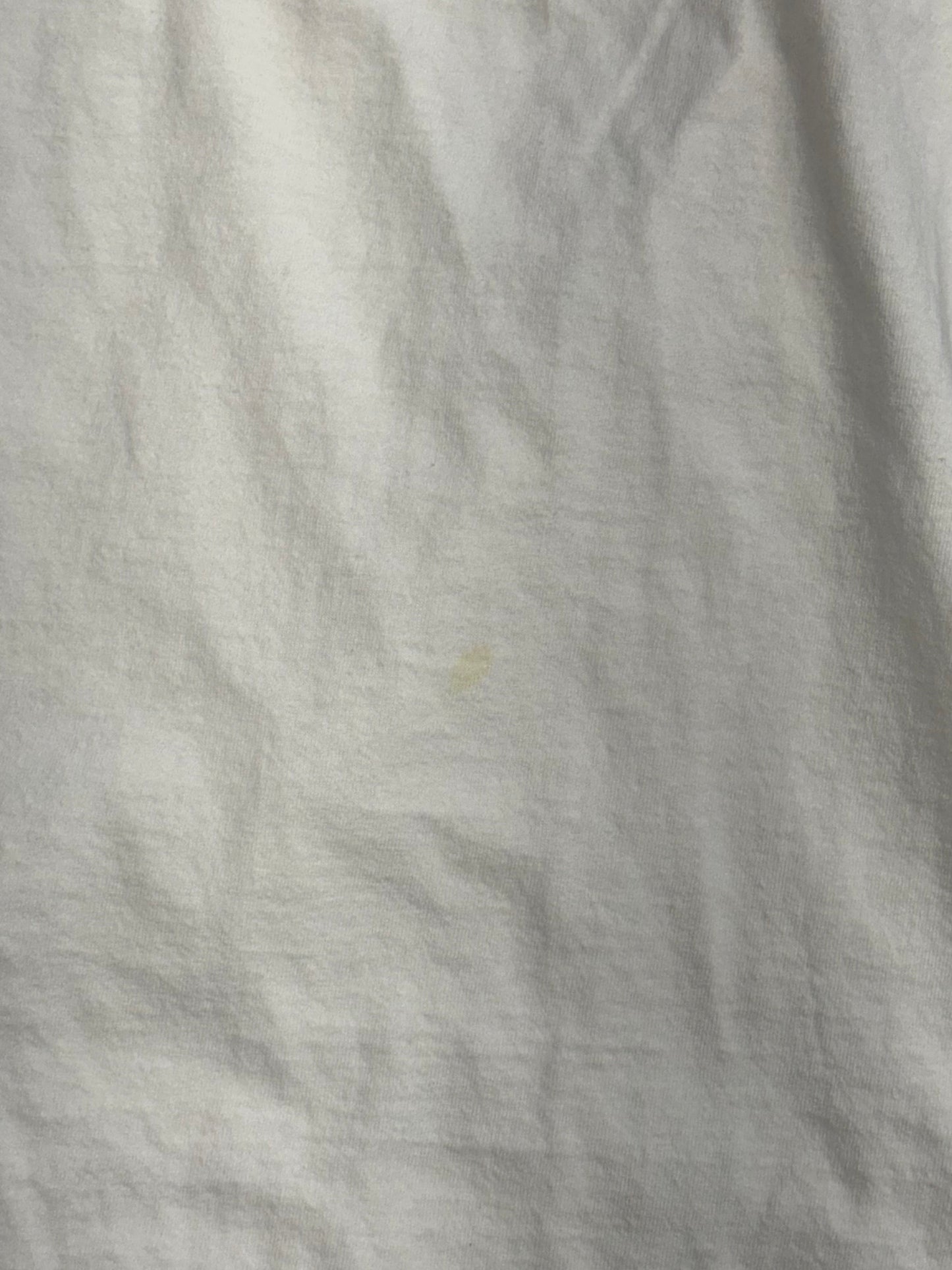 2000 HARLEY-DAVIDSON MORRISTOWN, TENNESSEE BLUE FLAME LS TEE