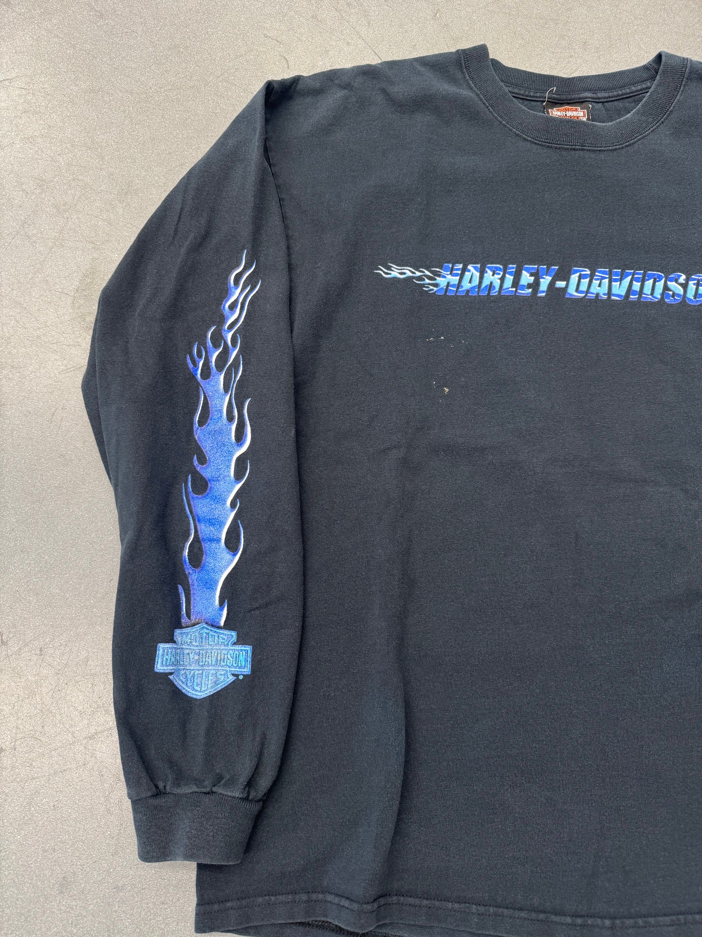 2001 HARLEY-DAVIDSON ARBOR VITAE, WI LS BLUE FLAMES TEE