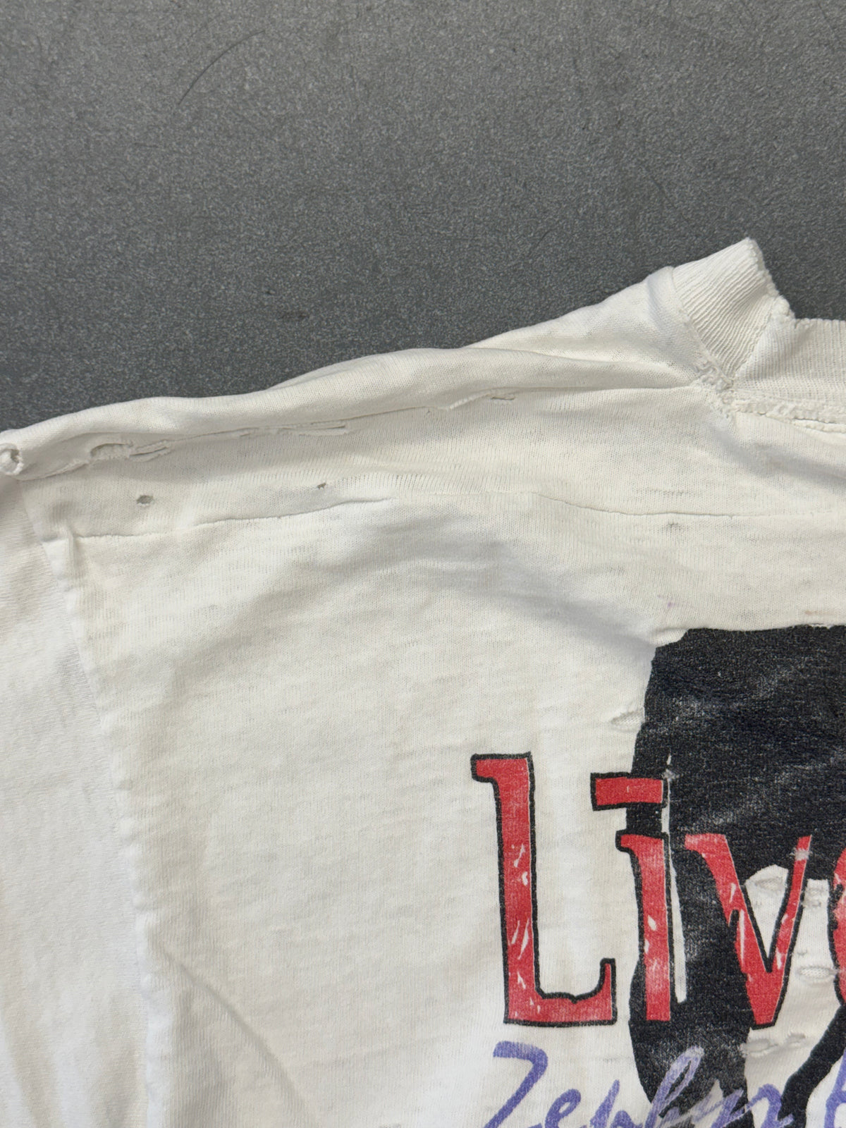 1995 LIVESTOCK V ZEPHYRHILLS FESTIVAL PARK THRASHED AND REPAIRED TEE (CUT FOTL TAG)