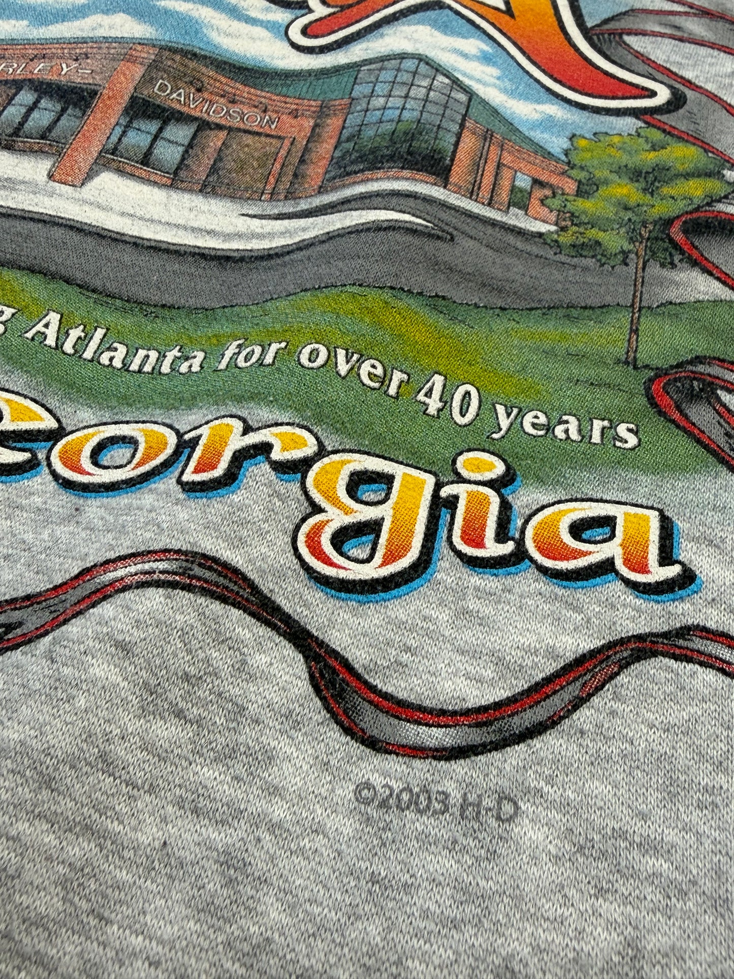 2005 HARLEY-DAVIDSON ATLANTA, GA BLUE FLAME FULL-ZIP HOODIE