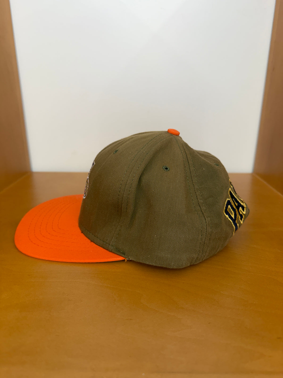 90S FLORIDA PANTHERS STRAPBACK - BEEF & BROCOLLI