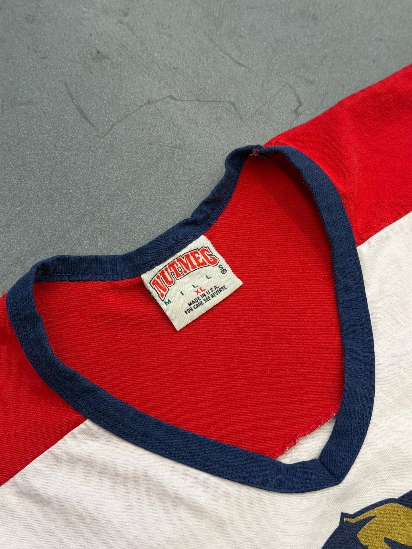 90'S FLORIDA PANTHERS VANBIESBROUCK COTTON HOCKEY JERSEY (NUTMEG MILLS TAG)