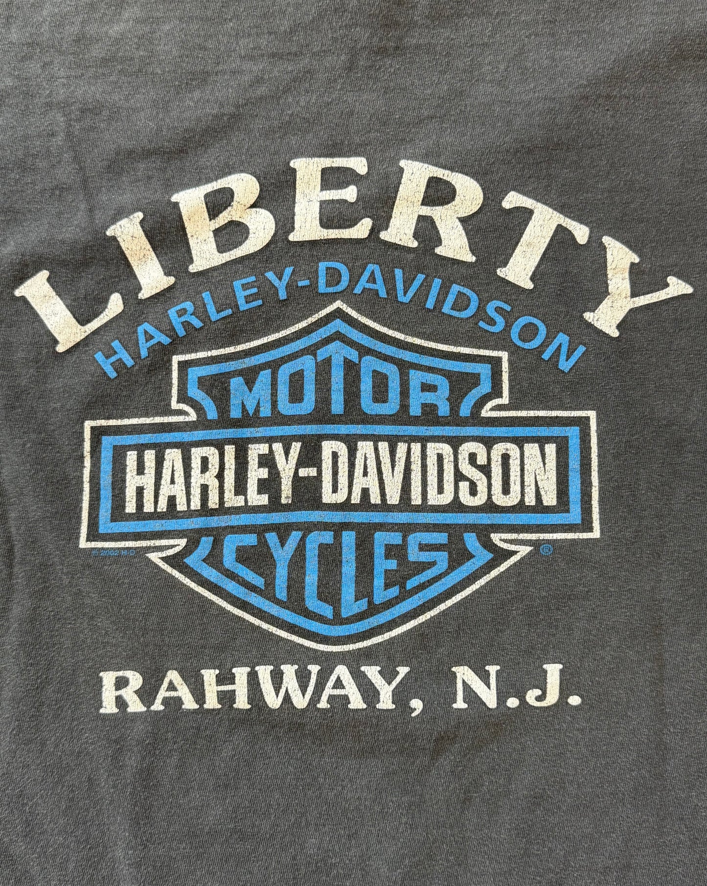 2002 HARLEY DAVIDSON METALLIC TRIBAL LONGSLEEVE TEE LIBERTY RAHWAY, NEW JERSEY