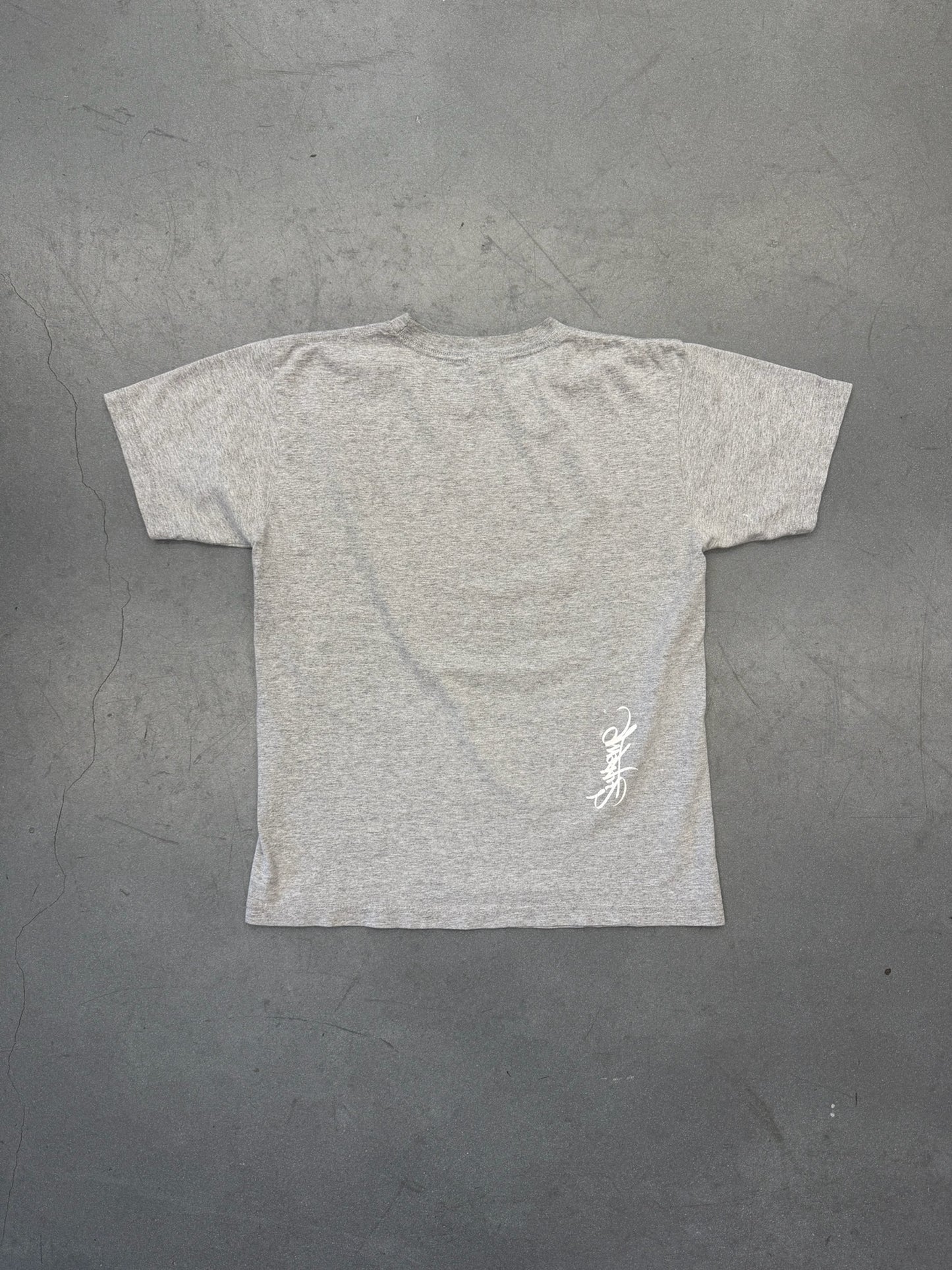 SS08 SUPREME NEVER PLEDGE ALLEGIANCE TEE - GREY