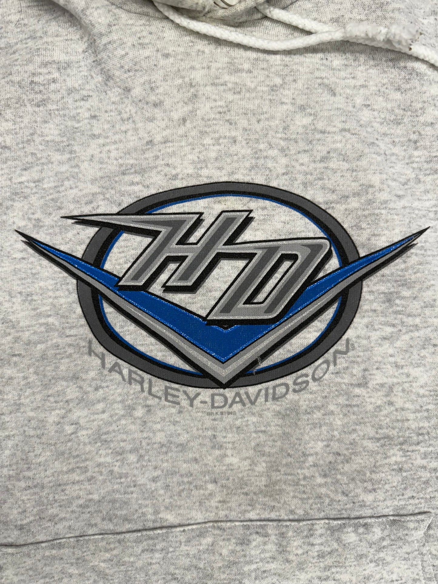 90'S HARLEY-DAVIDSON HD BLOOMINGTON, ILL. PULLOVER HOODIE (HANES ACTIVEWEAR TAG)