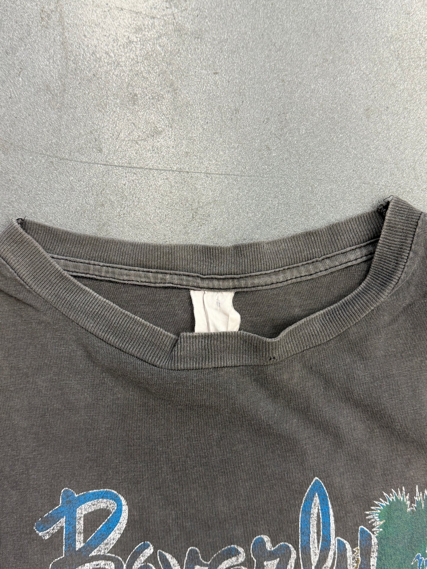 90S BEVERLY HILLS CALIFORNIA RODEO 90210 FADED TEE (FADED TAG)