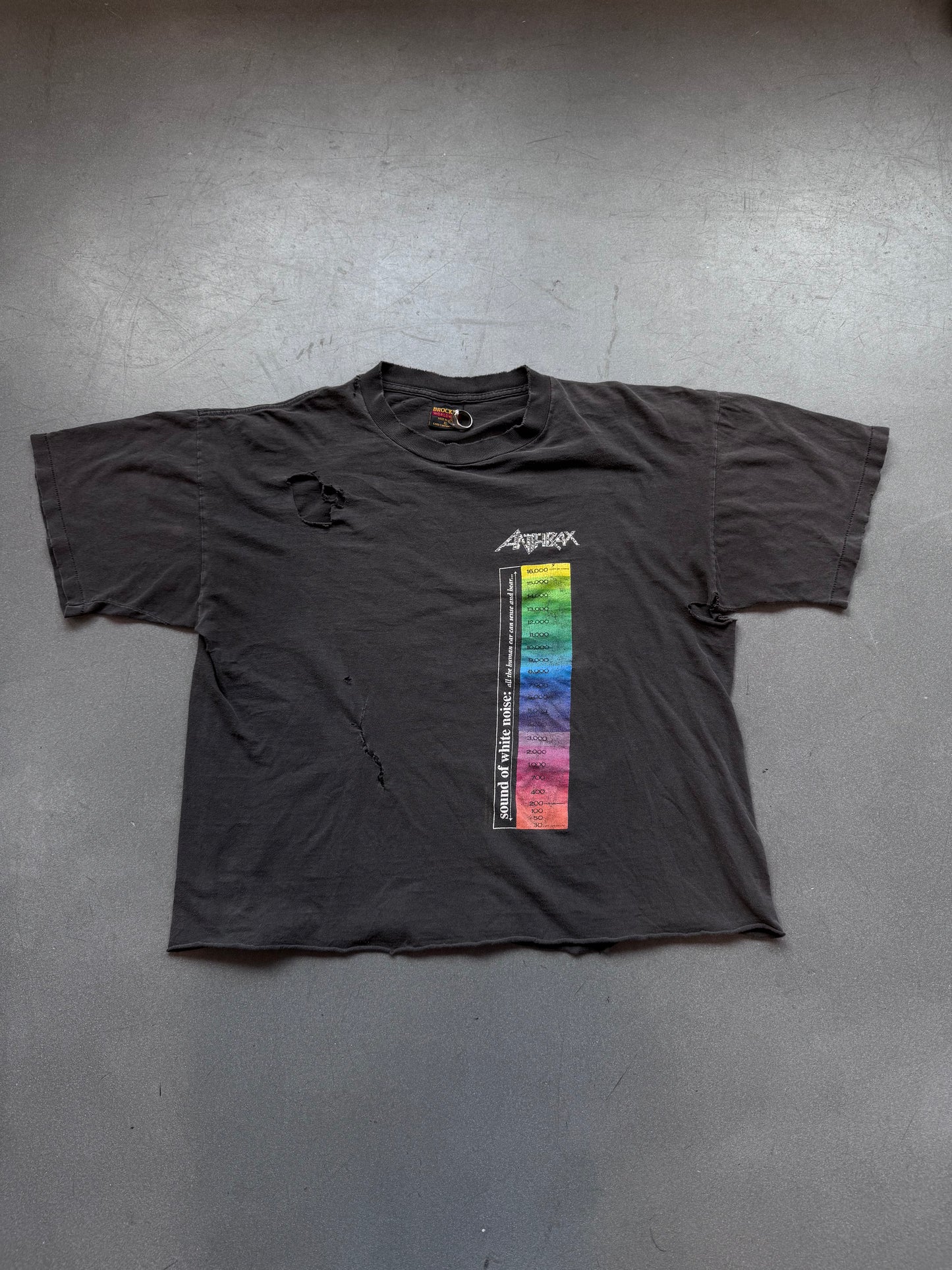 90'S ANTHRAX HEARING CHART "IT'S METAL... DON'T BUG" TEE (BROCKUM TAG)