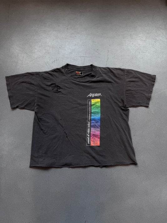 90'S ANTHRAX HEARING CHART "IT'S METAL... DON'T BUG" TEE (BROCKUM TAG)