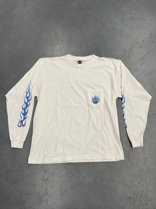 2000 HARLEY-DAVIDSON MORRISTOWN, TENNESSEE BLUE FLAME LS TEE