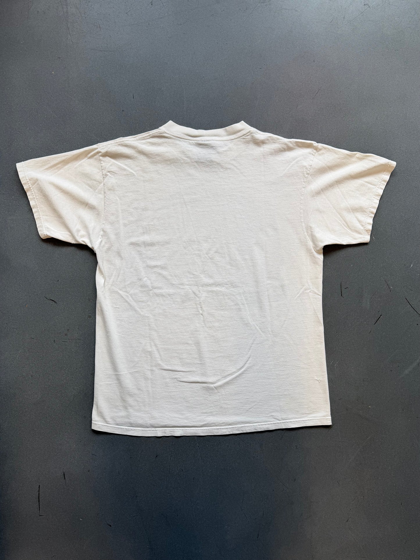 1995 NIRVANA MTV LIVE IN NEW YORK TEE (GIANT TAG)