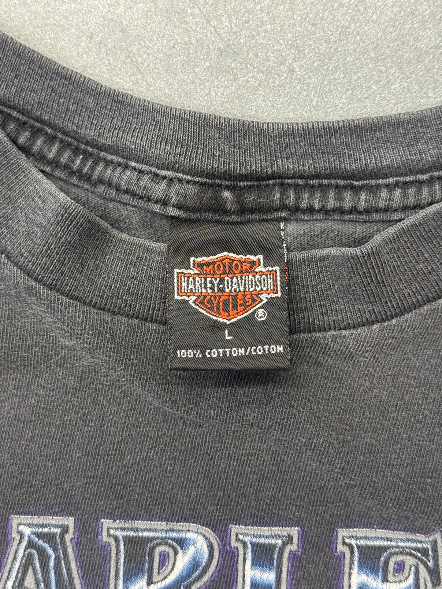 90S HARLEY-DAVIDSON LIGHTNING LETTERS RAY PRICE RALEIGH, NC TEE