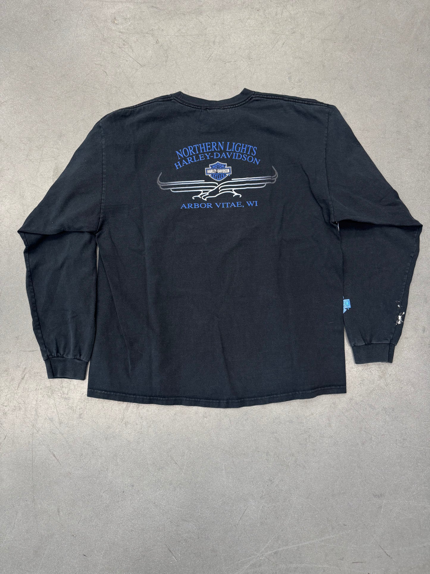 2001 HARLEY-DAVIDSON ARBOR VITAE, WI LS BLUE FLAMES TEE