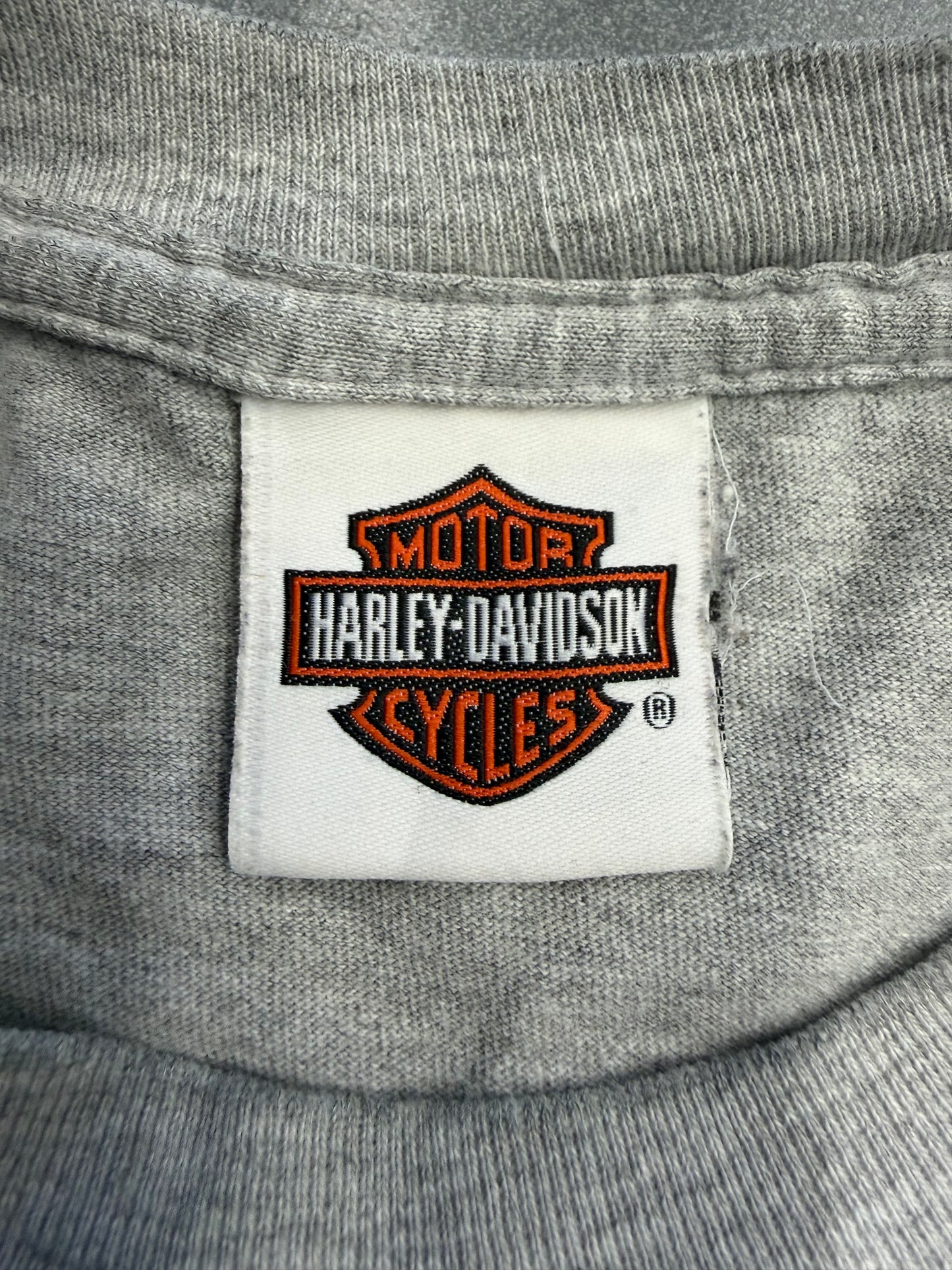 2007 HARLEY-DAVIDSON GOLDSBORO, NC LS SPIDER WEB TEE