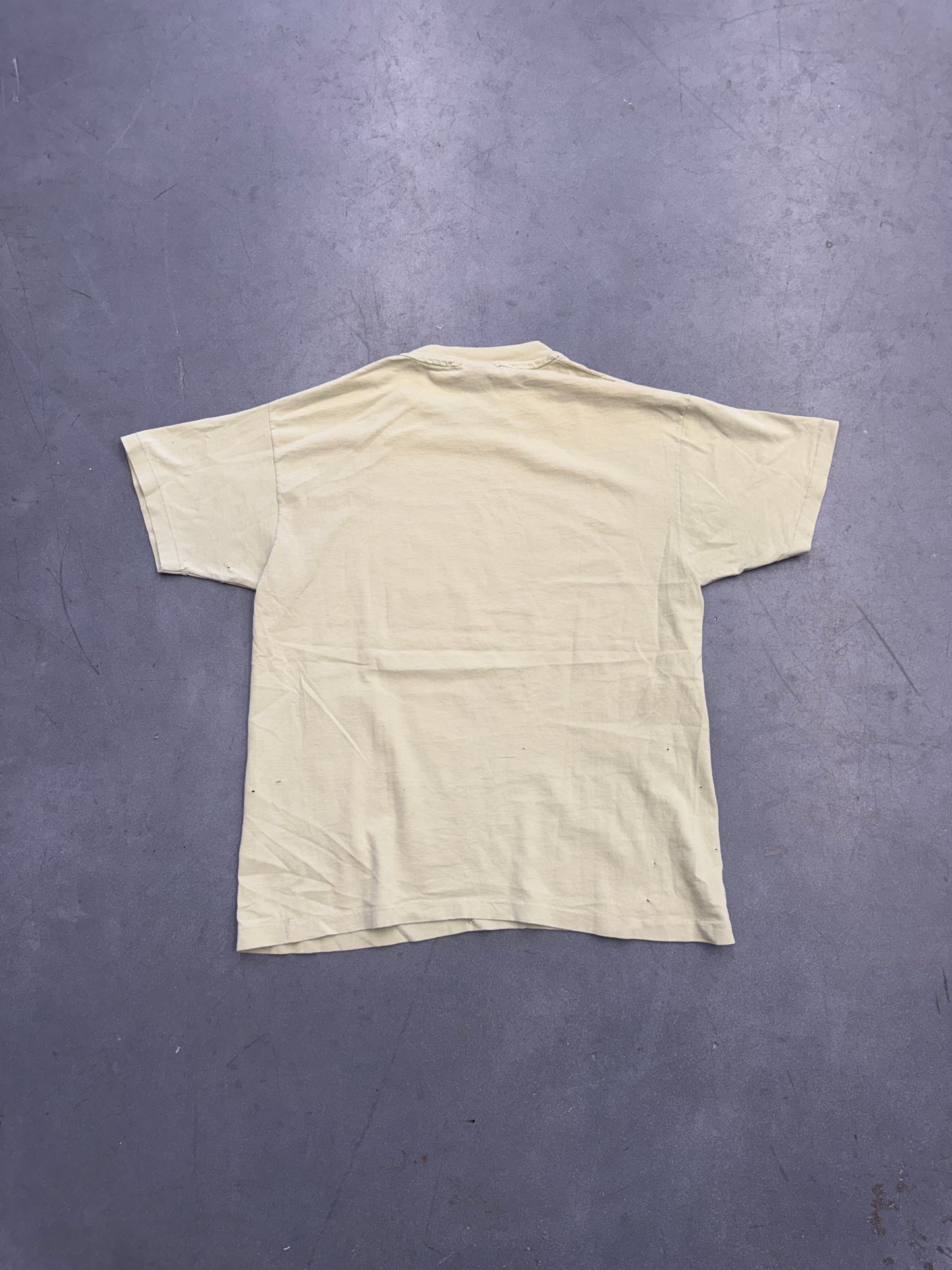 1991 NIRVANA INCESTICIDE TEE (GIANT BY ANVIL TAG)