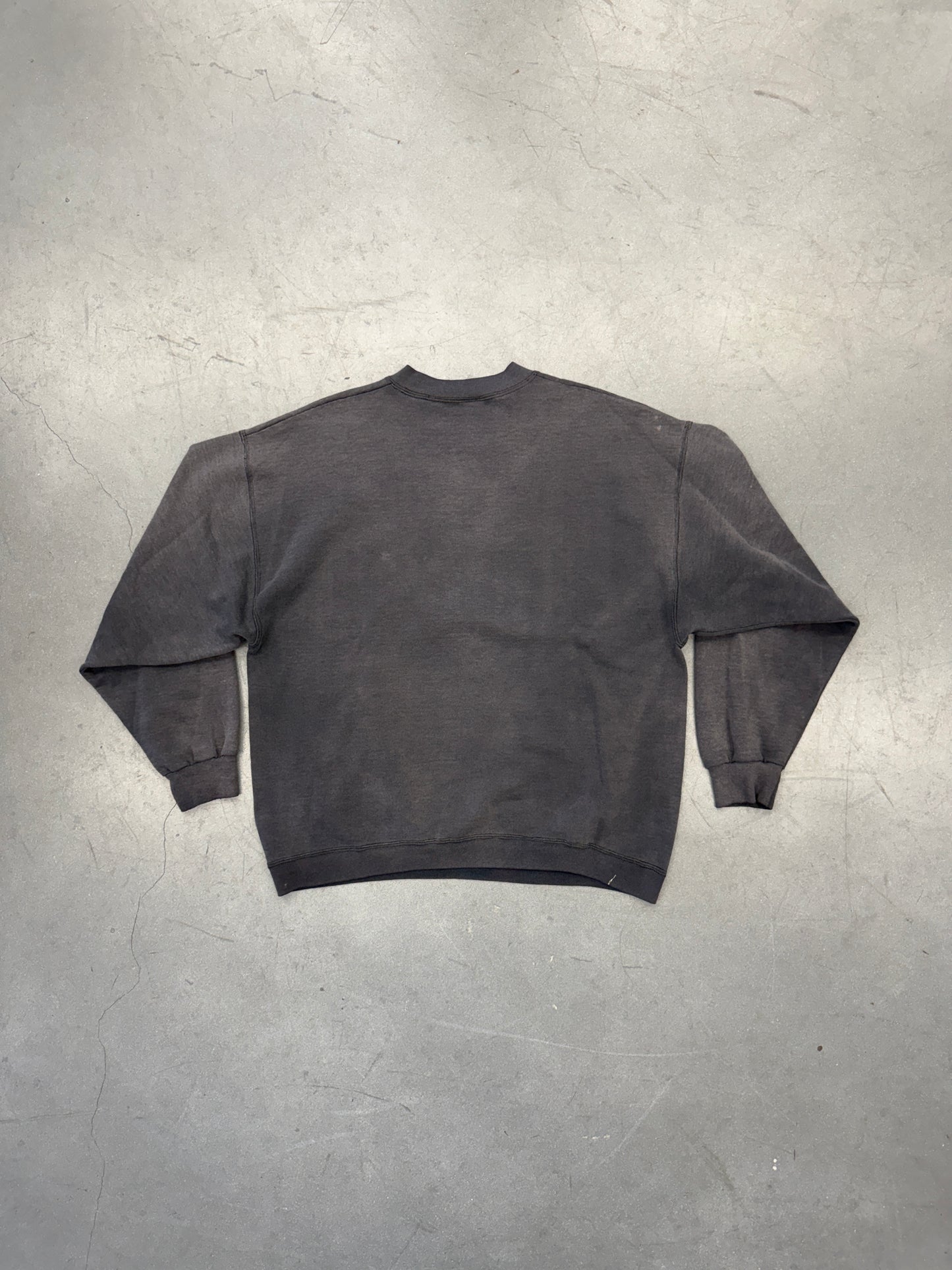 80S PRINCETON UNIVERSITY FADED CREWNECK (PULLED TAG)