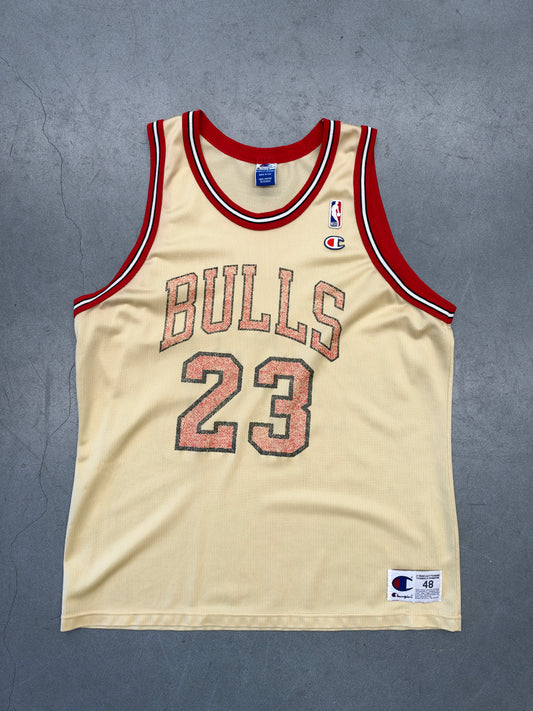 CHICAGO BULLS JORDAN CHAMPION JERSEY