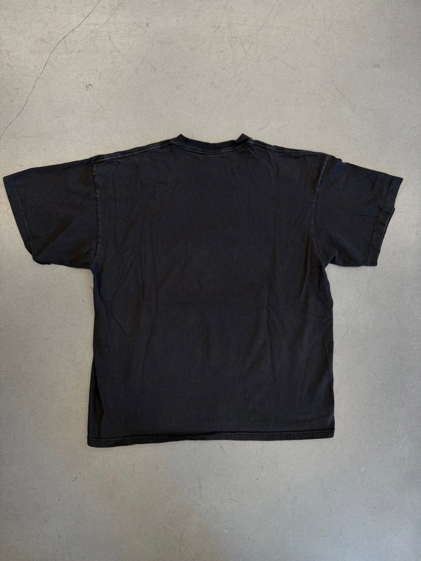 90S NIKE ALONZO MOURNING HORNETS POSTER TEE (GREY NIKE TAG)