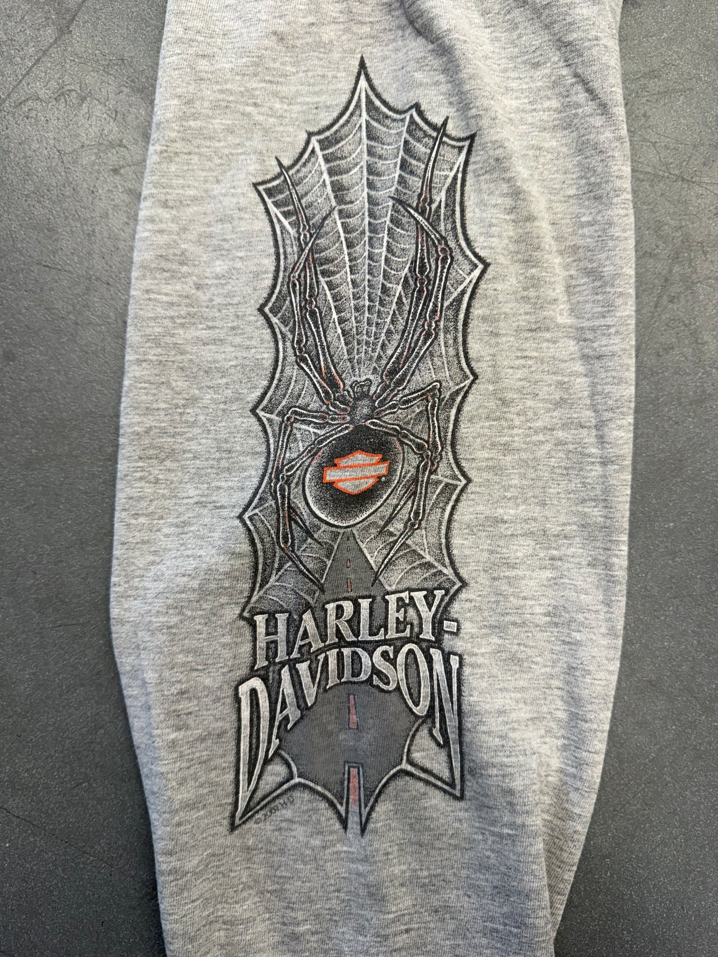 2007 HARLEY-DAVIDSON GOLDSBORO, NC LS SPIDER WEB TEE