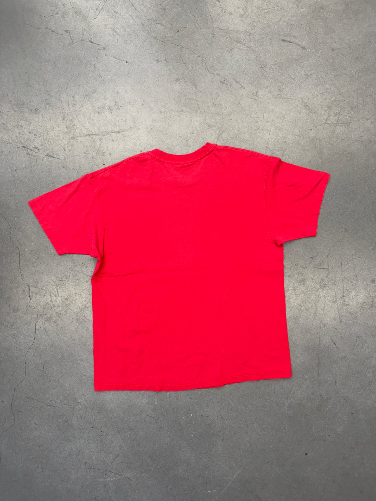 90'S FLORIDA PANTHERS PUCK BREAKTHROUGH NET TEE (HANES HEAVYWEIGHT TAG)