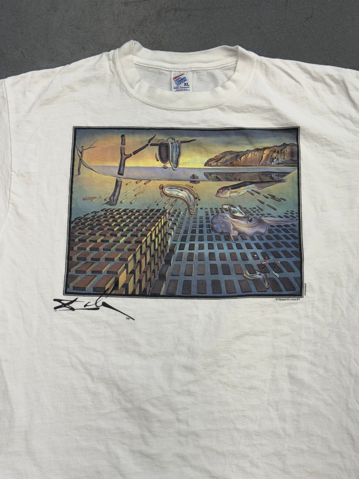 90S SALVADOR DALI 'THE DISINTEGRATION OF THE PERSISTENCE OF MEMORY' TEE (JERZEES TAG)