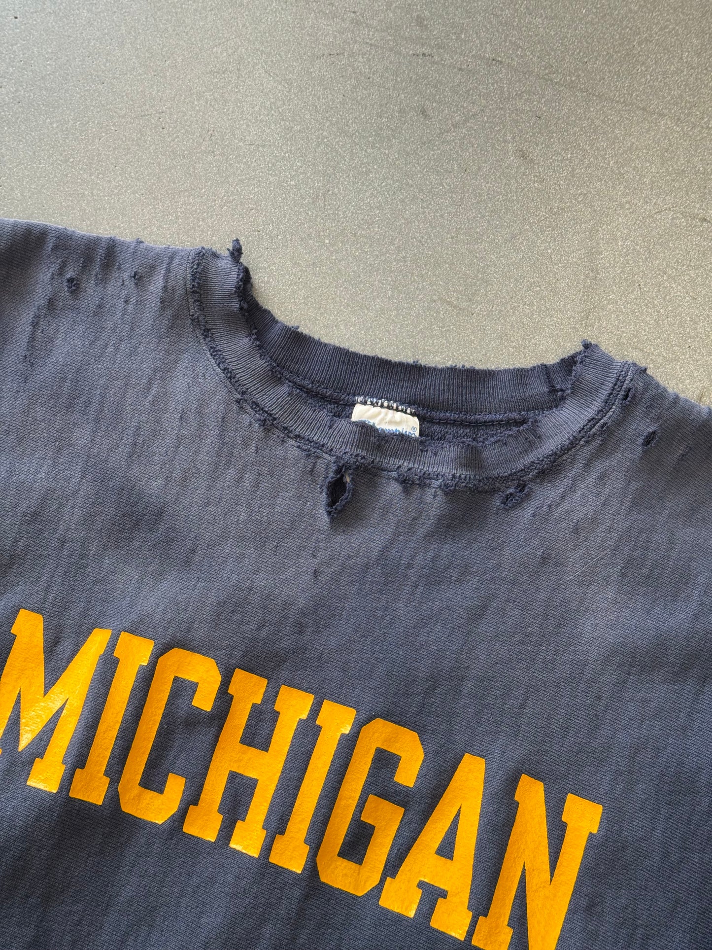 VINTAGE CHAMPION REVERSE WEAVE MICHIGAN DISTRESSED CREWNECK SWEATER
