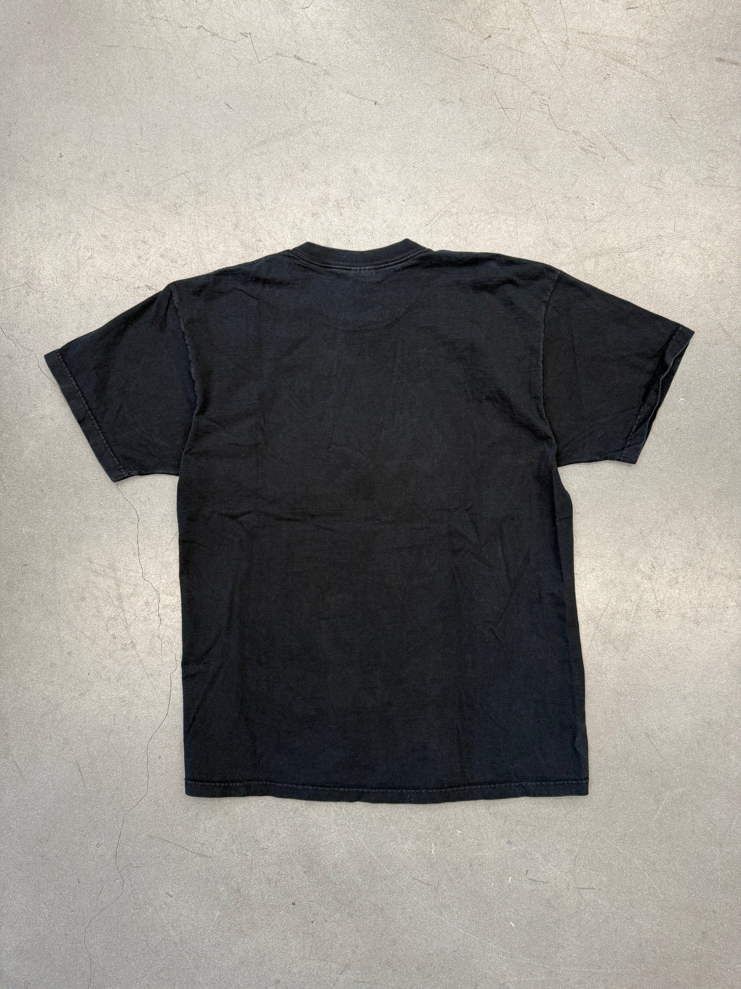 Y2K REMEMBER YOUR FIRST SOFT-TAIL FLORIDA TEE (FOTL TAG)