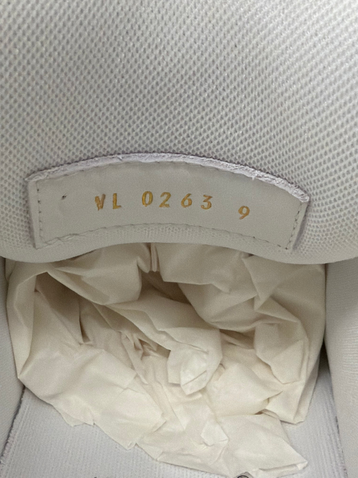 2024 LOUIS VUITTON LV TRAINER MAXI SNEAKERS - BEIGE MULTICOLOR (LV 10 / US 11)