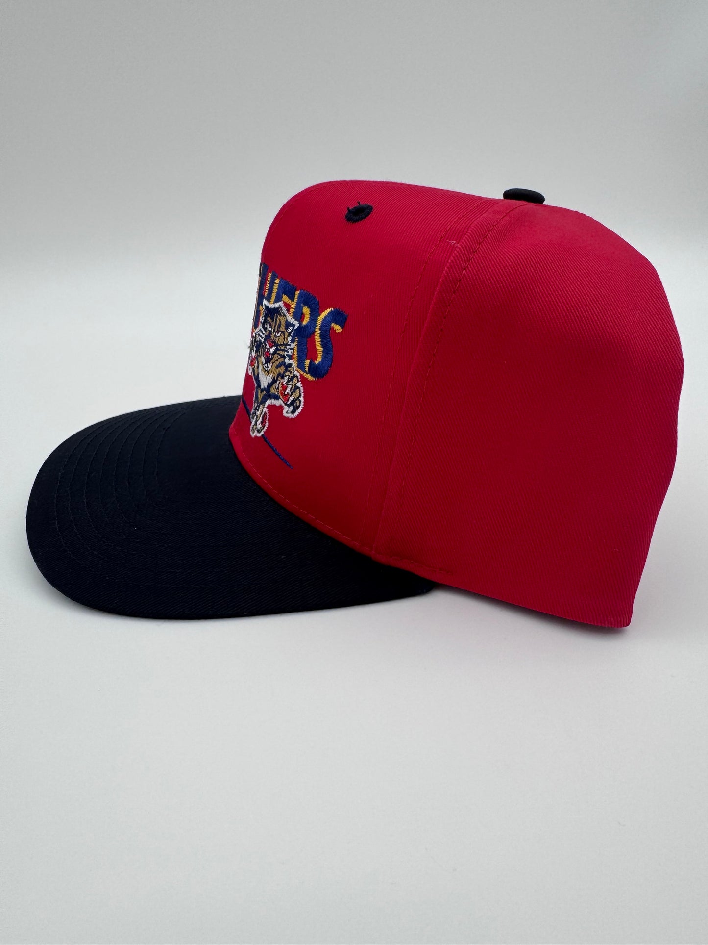 90S FLORIDA PANTHERS TWIN ENTERPRISE SNAPBACK HAT