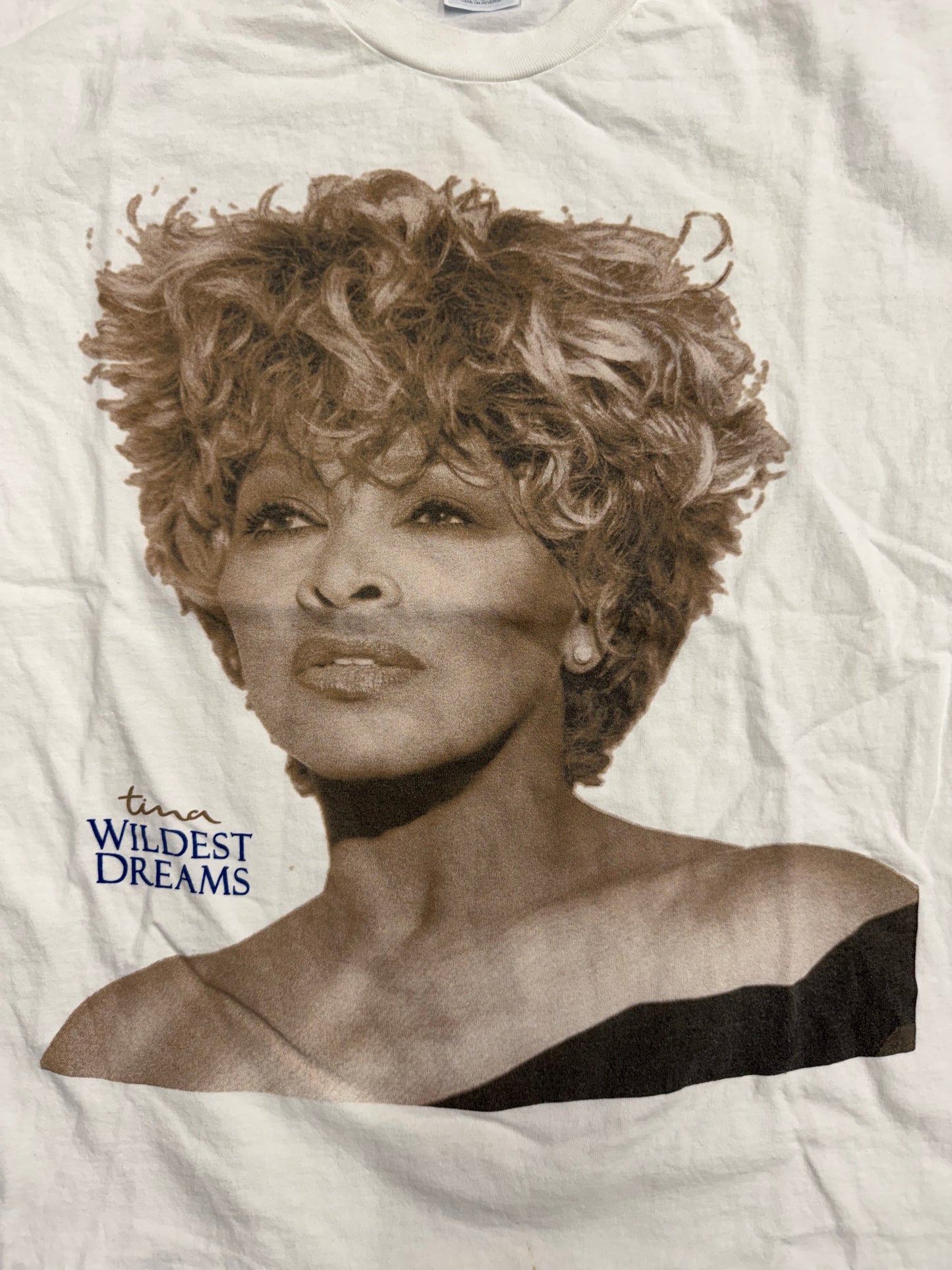 90'S TINA TURNER WILDEST DREAMS TOUR TEE (HANES HEAVYWEIGHT TAG)