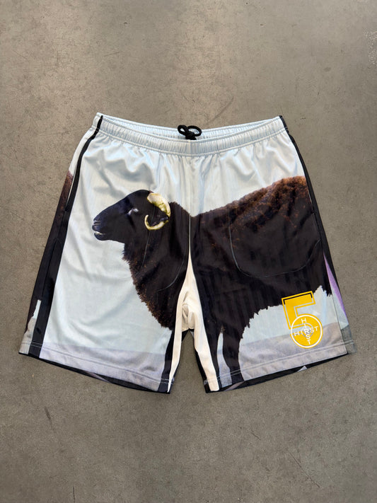 SS25 SUPREME DAMIEN HIRST RAM SOCCER SHORT - BLACK