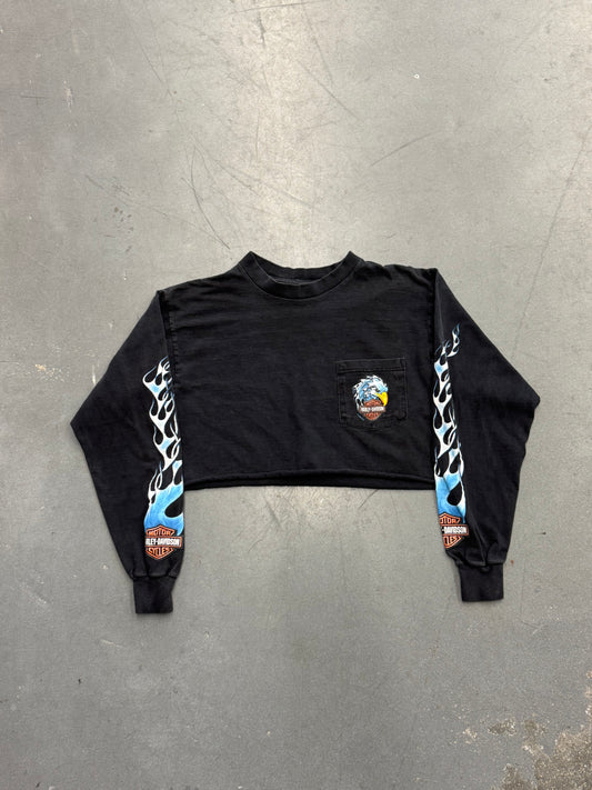 2002 HARLEY-DAVIDSON FRAZIER'S BUFORD, GA CROPPED LS FLAMES TEE
