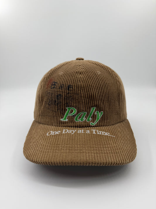 FW25 PALY HOLLYWOOD - CONFESSIONS LOW PROFILE HAT