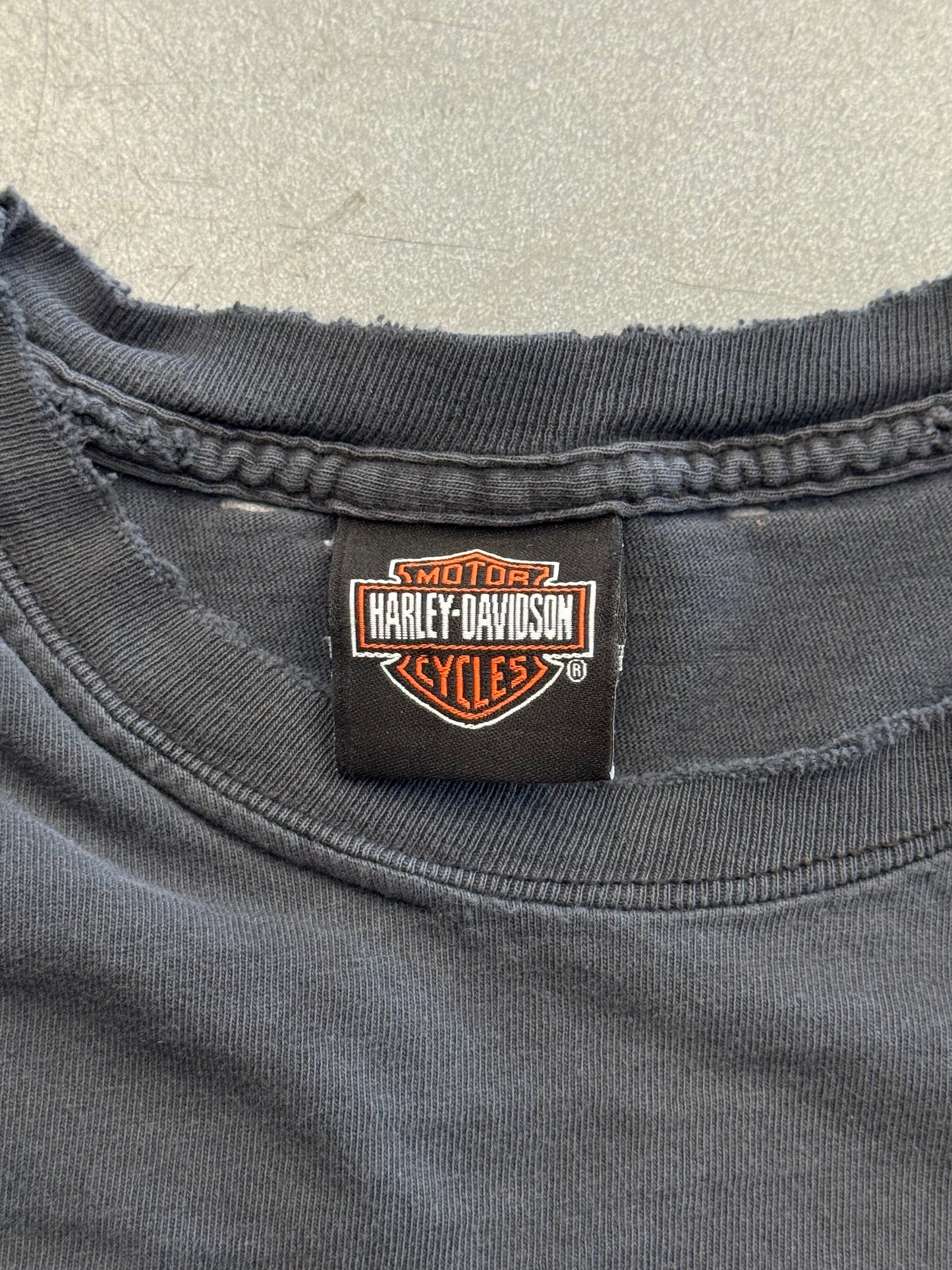 Y2K HARLEY-DAVIDSON CHICAGO, ILLINOIS DISTRESSED MULLET TEE