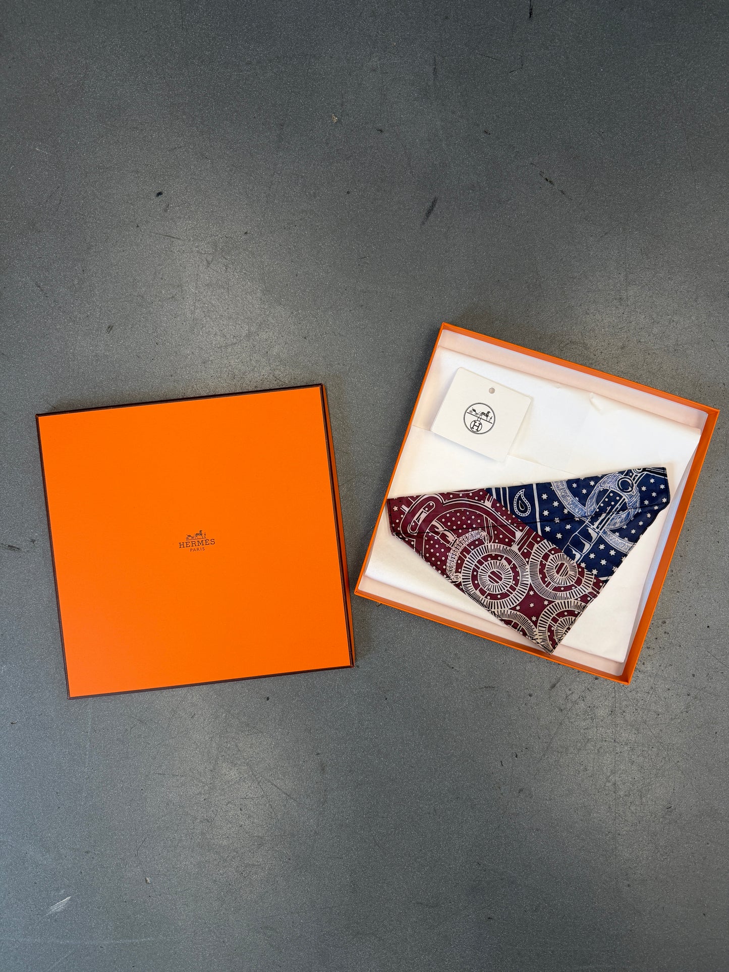 HERMES EPERON D'OR DOG BANDANA