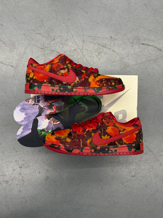 SIZE 10 NIKE SB DUNK LOW THE WIZARD OF OZ POPPY FIELD (NEW, WITH BOX)