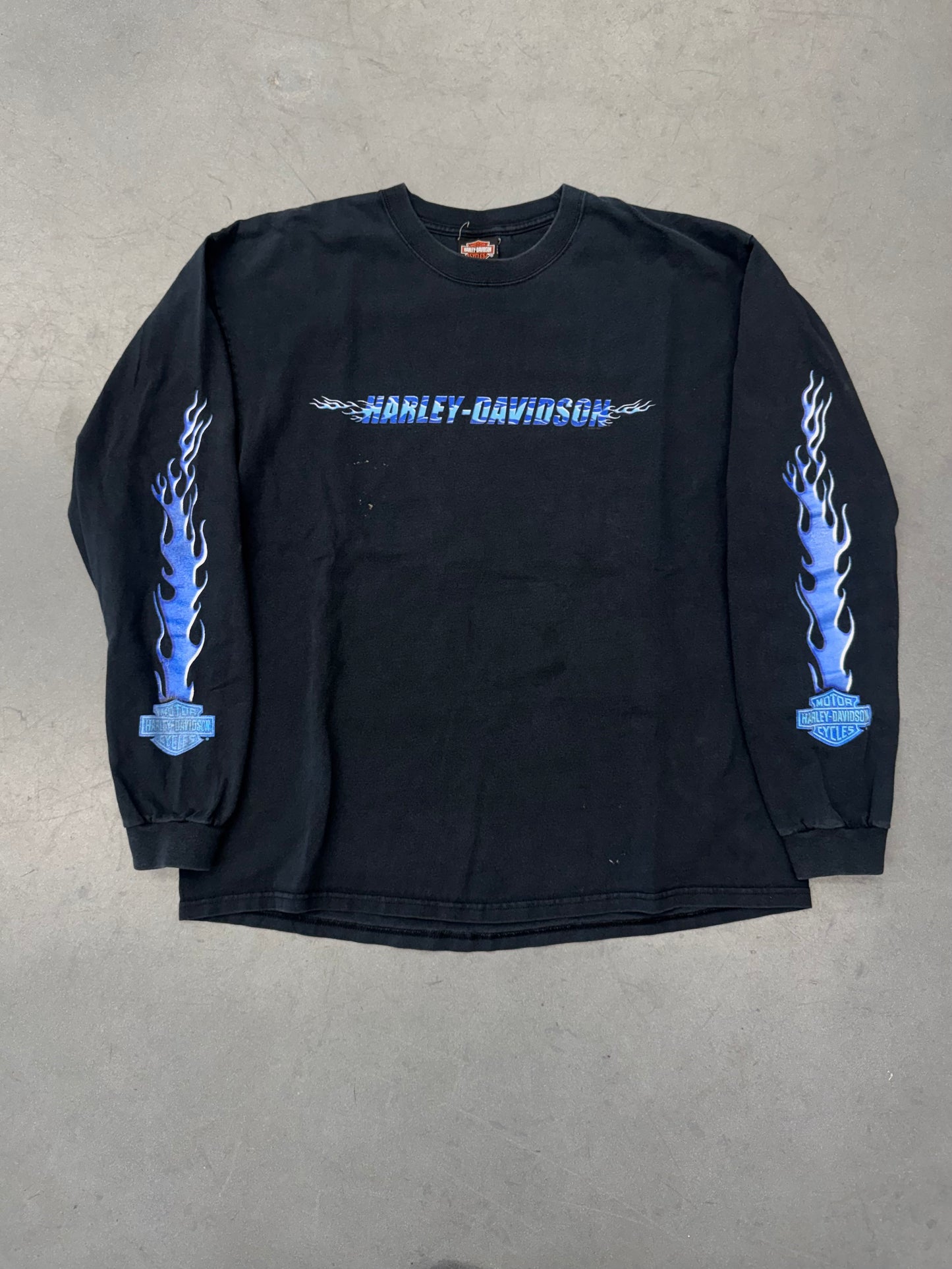 2001 HARLEY-DAVIDSON ARBOR VITAE, WI LS BLUE FLAMES TEE