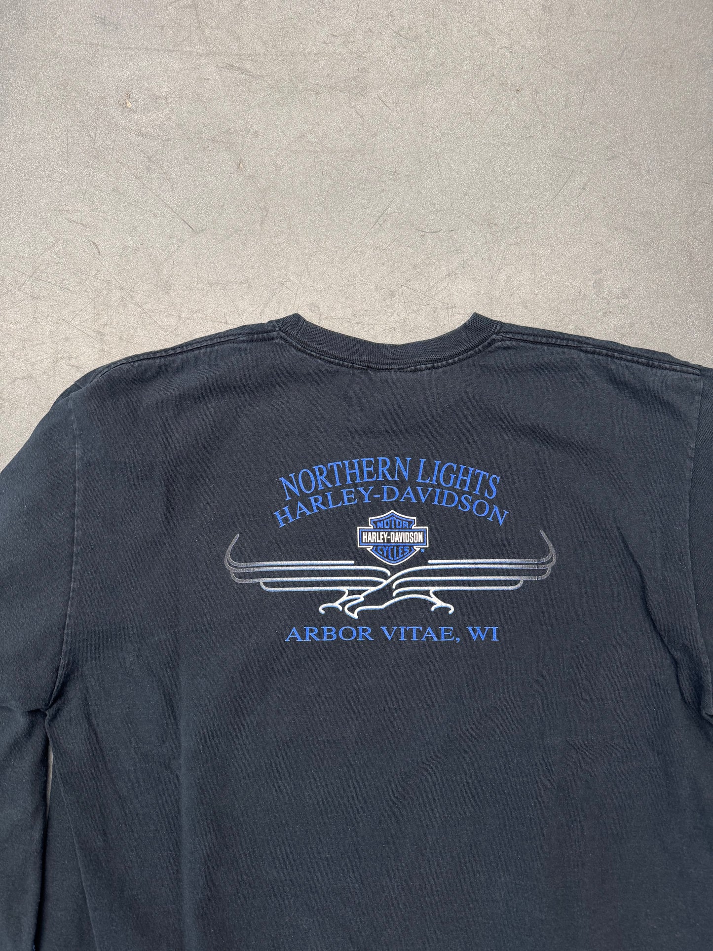2001 HARLEY-DAVIDSON ARBOR VITAE, WI LS BLUE FLAMES TEE
