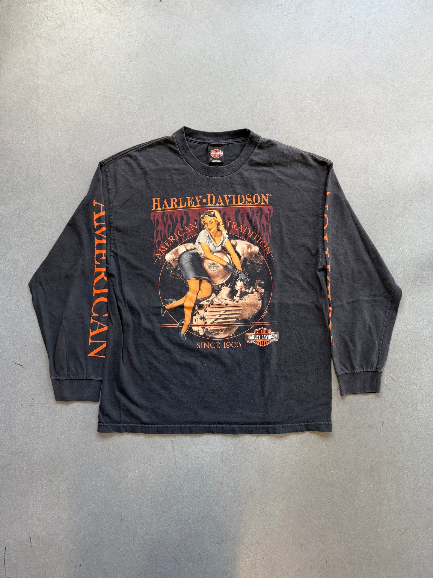 2011 HARLEY-DAVIDSON AMERICAN TRADITION CHATTANOOGA , TN LS TEE