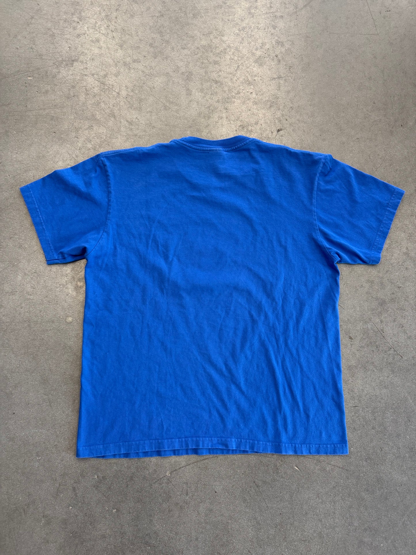 SS20 SUPREME DINOSAUR QUARTER RIDE TEE