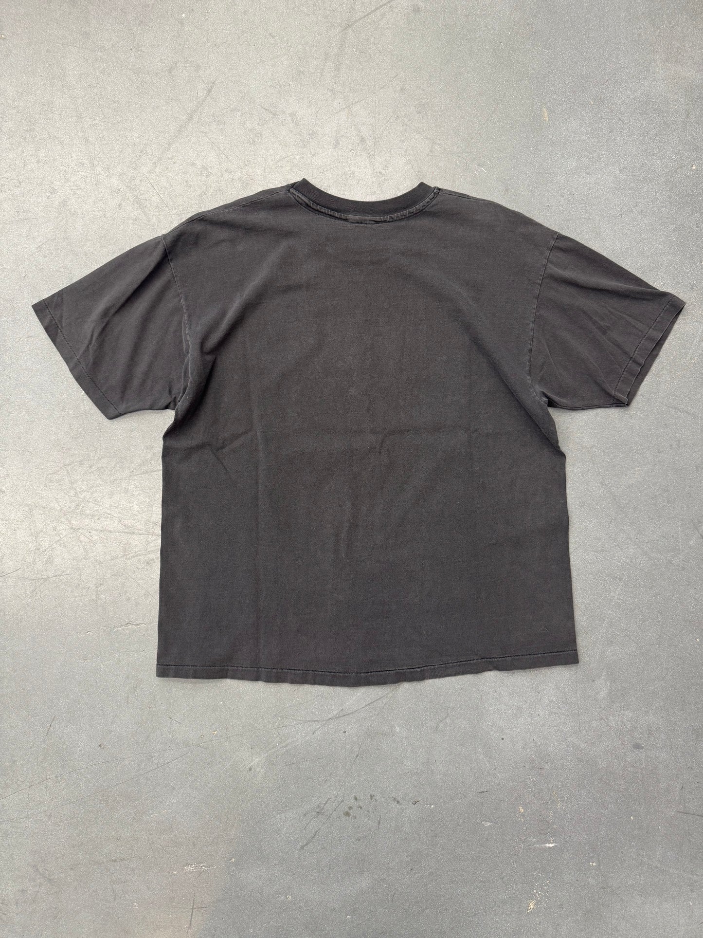 1993 JURASSIC PARK T-REX FENCE TEE (PULLED TAG)