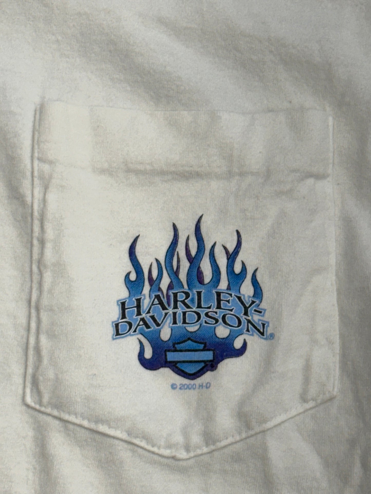 2000 HARLEY-DAVIDSON MORRISTOWN, TENNESSEE BLUE FLAME LS TEE