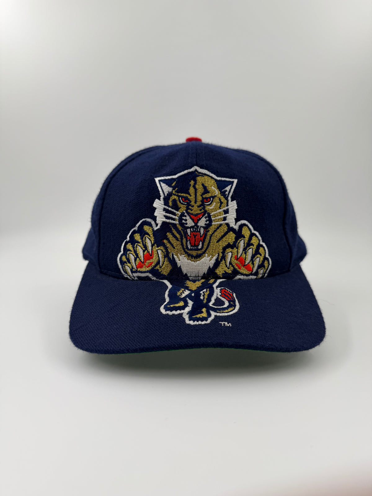 90'S FLORIDA PANTHERS BIG LOGO NHL SNAPBACK (AJD TAG)