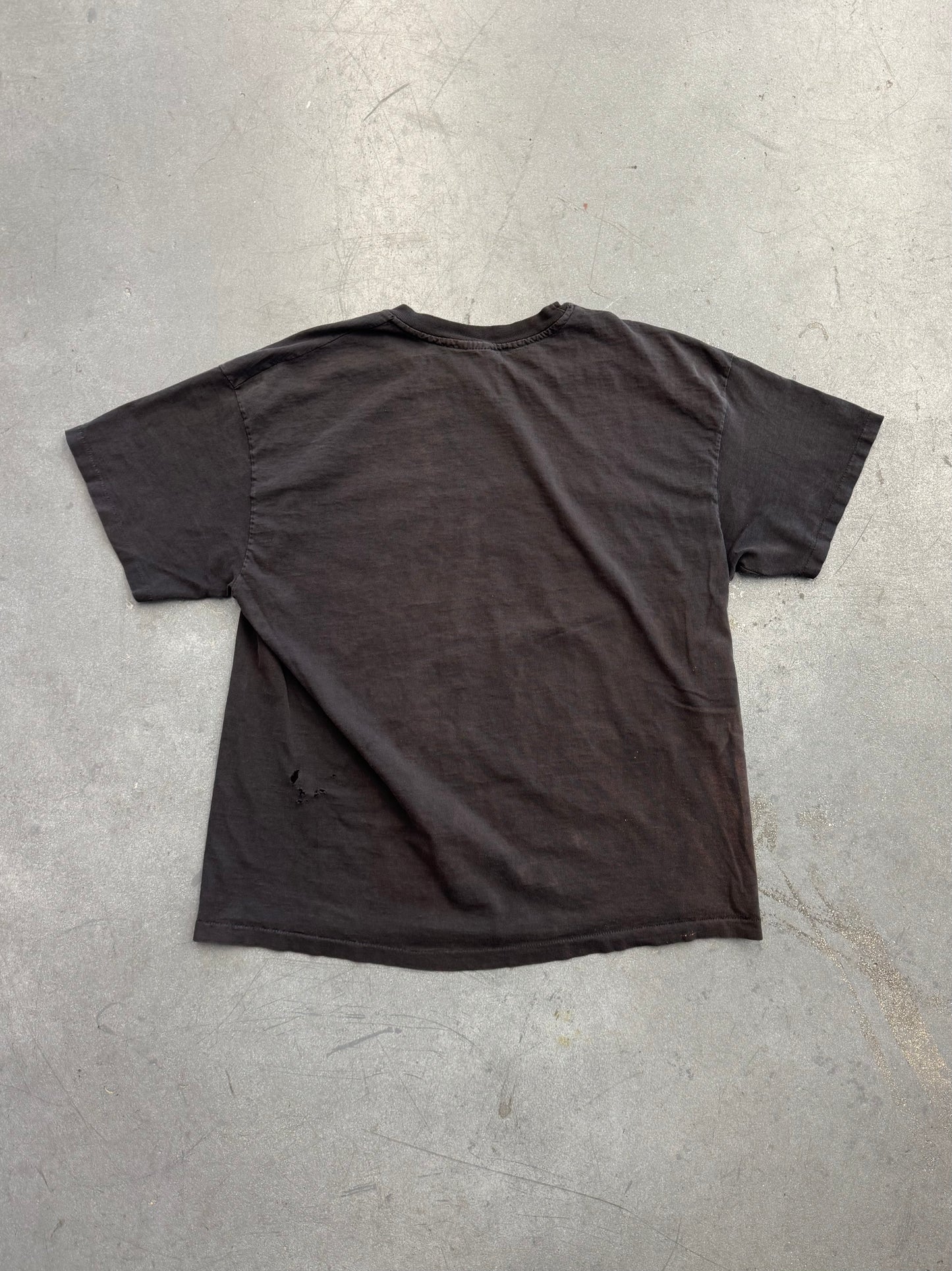 1993 JURASIC PARK T-REX CAR TEE (HANES HEAVYWEIGHT TAG)