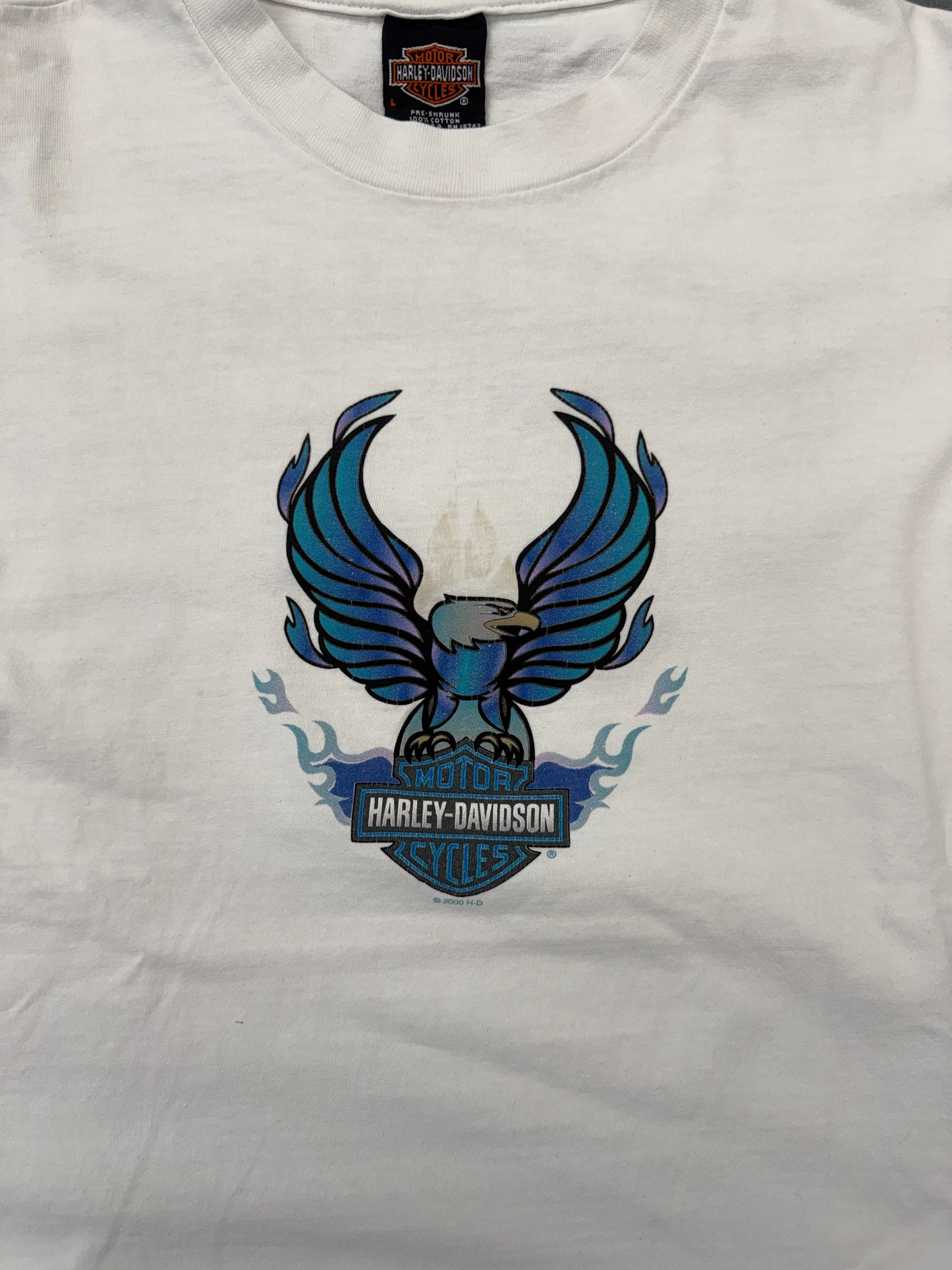 2000 HARLEY-DAVIDSON PRESTONSBURG KENTUCKY BLUE/PURPLE FLAMES LS TEE